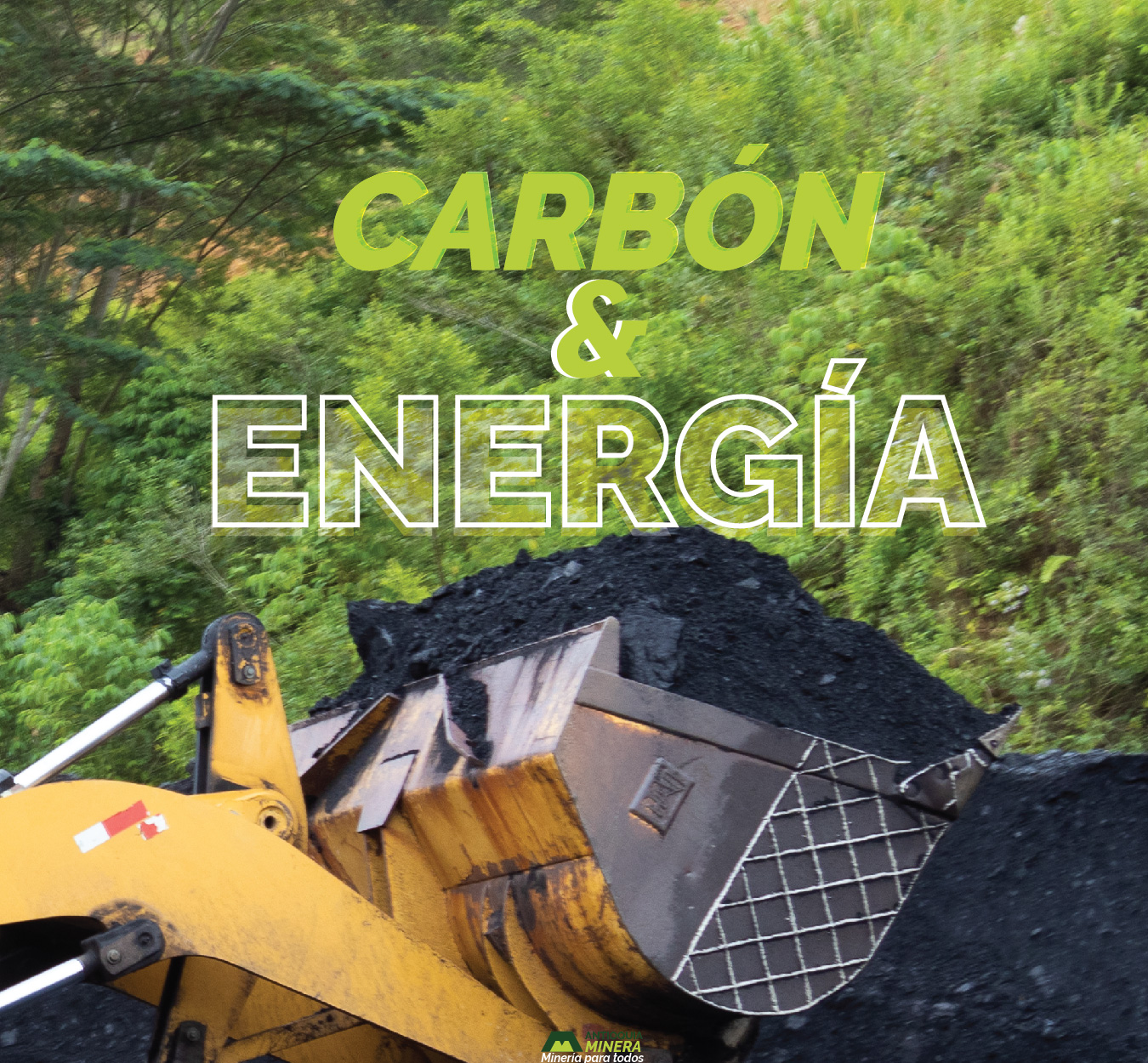 Carbón y energía