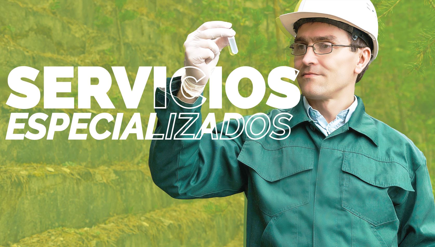 Servicios Especializados