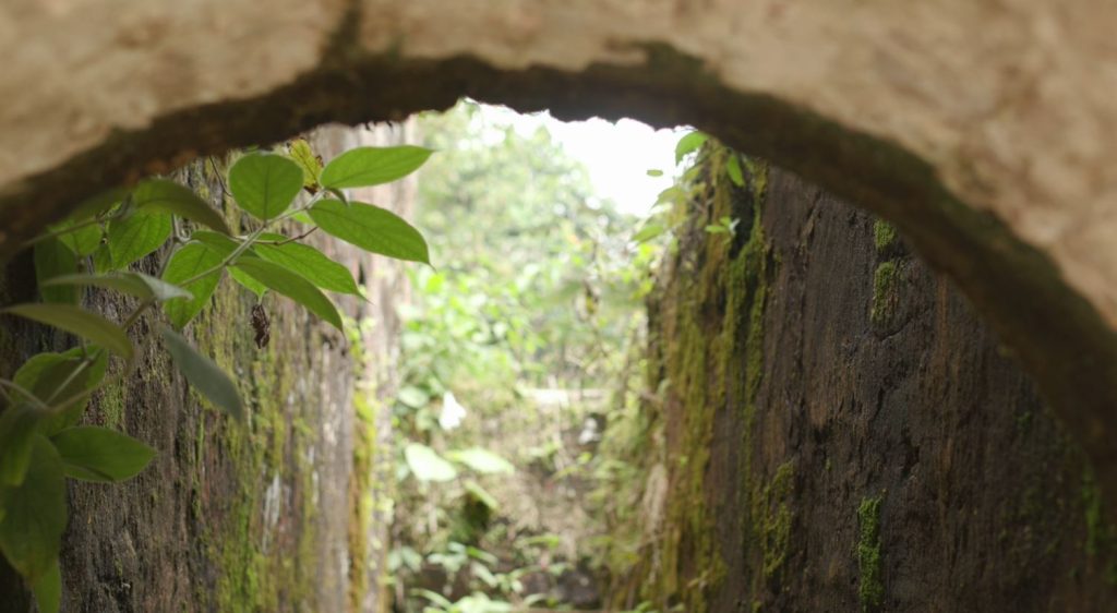 Especial Antioquia Minera